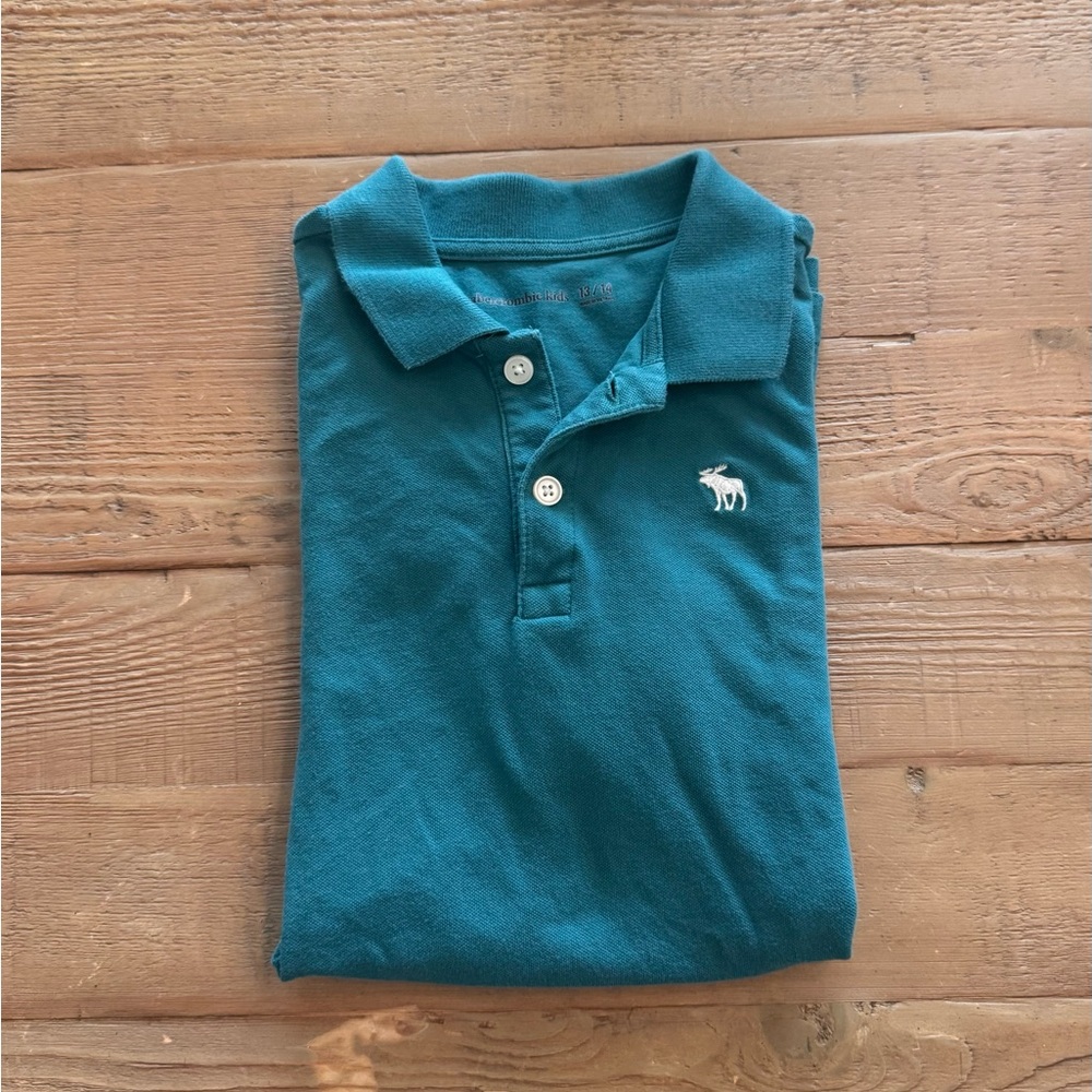 abercrombie kids Green Polo Shirt with Embroidered Moose